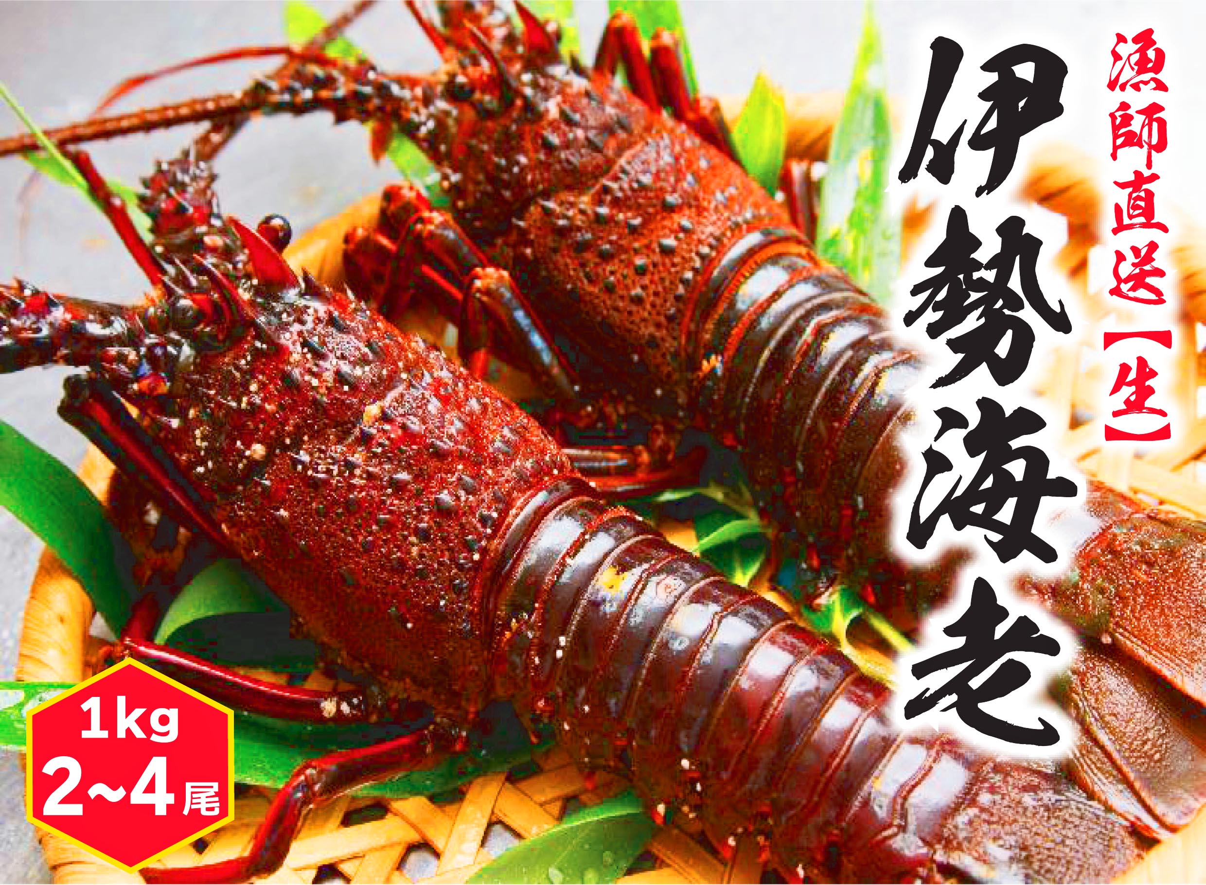 買取り実績 Kbl 7 鹿嶋産地直送 伊勢海老 1kg 2 4尾 伊勢エビ 送料無料 茨城県 鹿嶋市 鹿嶋 Fucoa Cl