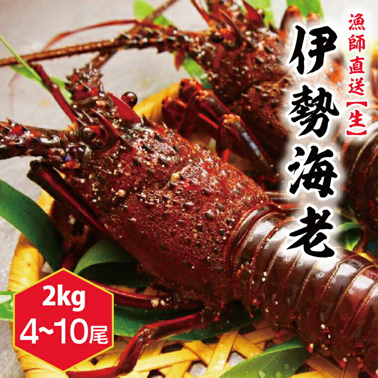 伊勢海老 伊豆産 約5㎏ imgrc0094020179.jpg