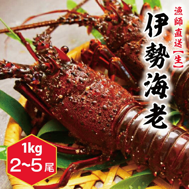 【ふるさと納税】鹿嶋産地直送★【生】伊勢海老 1kg 2～5尾　伊勢エビ　送料無料　茨城県　鹿嶋市　鹿嶋（KBL-7）