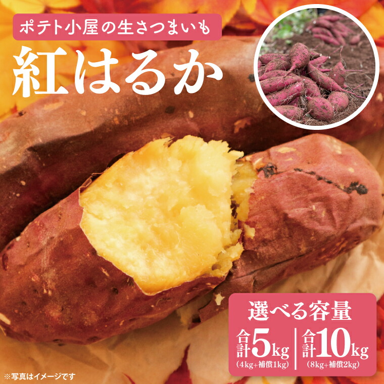 【ふるさと納税】【選べる内容量】ポテト小屋の生さつまいも　紅はるか約5kg（４kg+約25％補償分）・約10kg（８kg+約25％補償分）【鹿嶋市 減農薬 熟成 貯蔵 サツマイモ 生芋 べにはるか 送料無料】 (KBR-10)