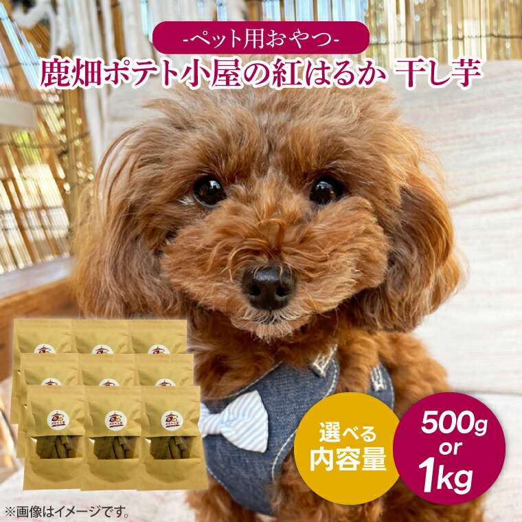 【ふるさと納税】＼選べる容量／ 鹿嶋市産！鹿畑ポテト小屋の紅はるか ペット用 おやつ干し芋 合計500g 合計1kg【数量限定 ほしいも 干芋 さつまいも サツマイモ 鹿嶋市 茨城県】