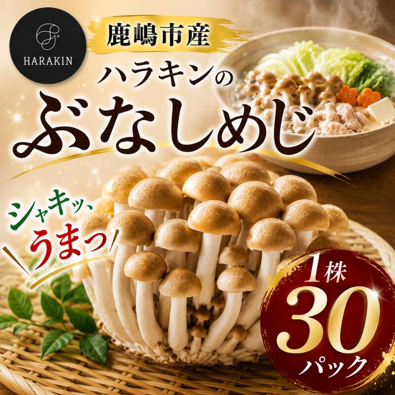【ふるさと納税】 ぶなしめじ 1株&times;30パック しめじ 国産 純国産 健康 きのこ 茸 安心 安全 低カロリー 国産 食物繊維 農薬不使用 まろやか ビタミンB ご家庭用 こだわり おかず マッシュルーム mushroom kinoko 茨城県産 鹿嶋市産 ふるさと納税 茨城県 鹿嶋市｜茨城県鹿嶋市