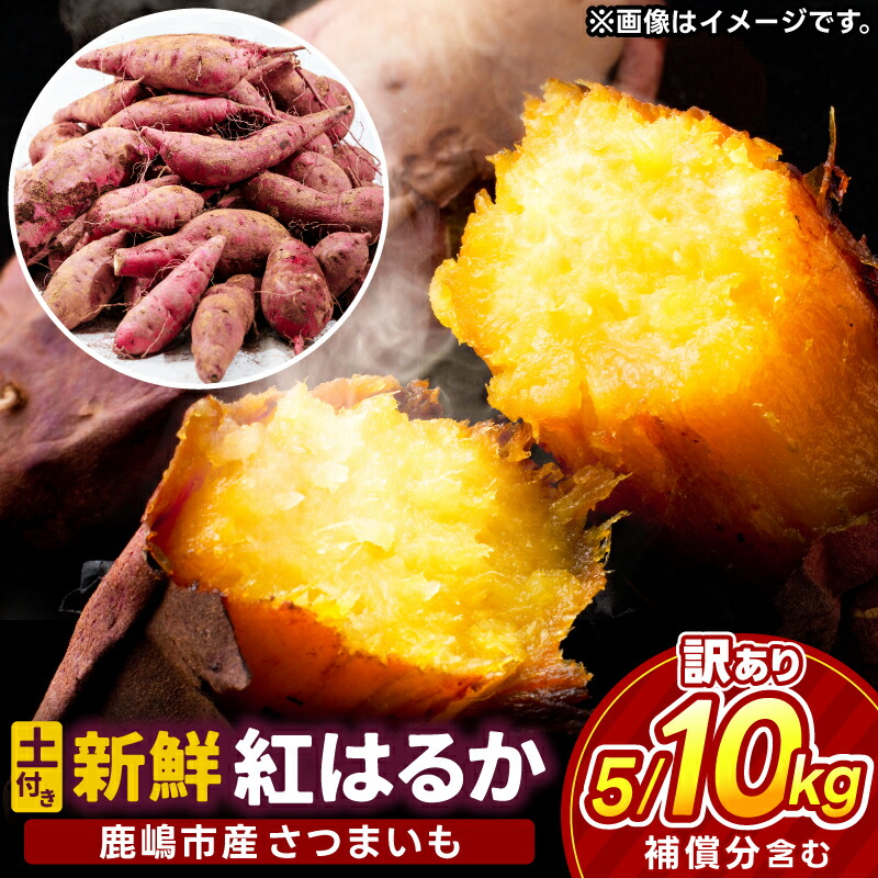 【ふるさと納税】【先行予約】【2025年10月以降発送】【訳あり】紅はるか さつまいも 新鮮 土付き 選べる 5kg 10kg【サツマイモ 紅はるか 茨城県 鹿嶋市 10000円以下】