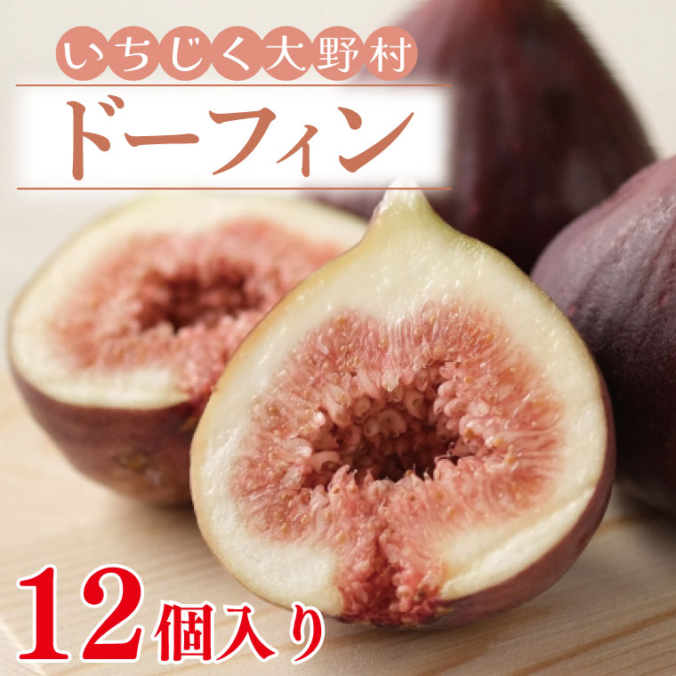【ふるさと納税】【先行予約】【7月上旬～11月まで発送】いちじく大野村(ドーフィン) 12個入 フルーツ果物（KAE-5）