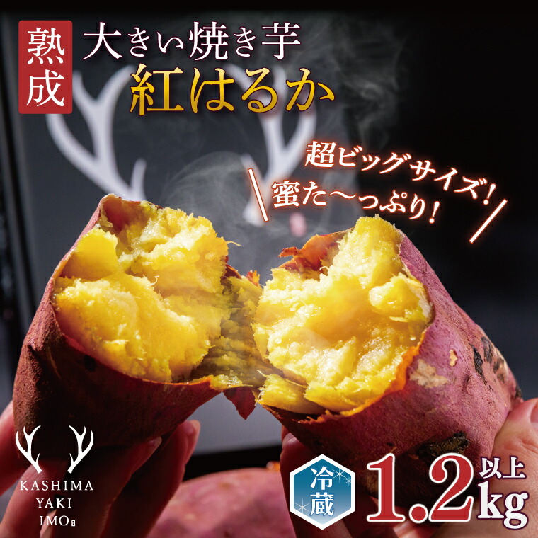 【ふるさと納税】【先行予約】熟成 大きい焼き芋（紅はるか）1.2kg以上 【超ビックサイズ！リピーター続出！ 焼きいも 焼芋 焼き芋 焼きいも やきいも さつまいも 紅はるか 鹿嶋市】（KBK-48）