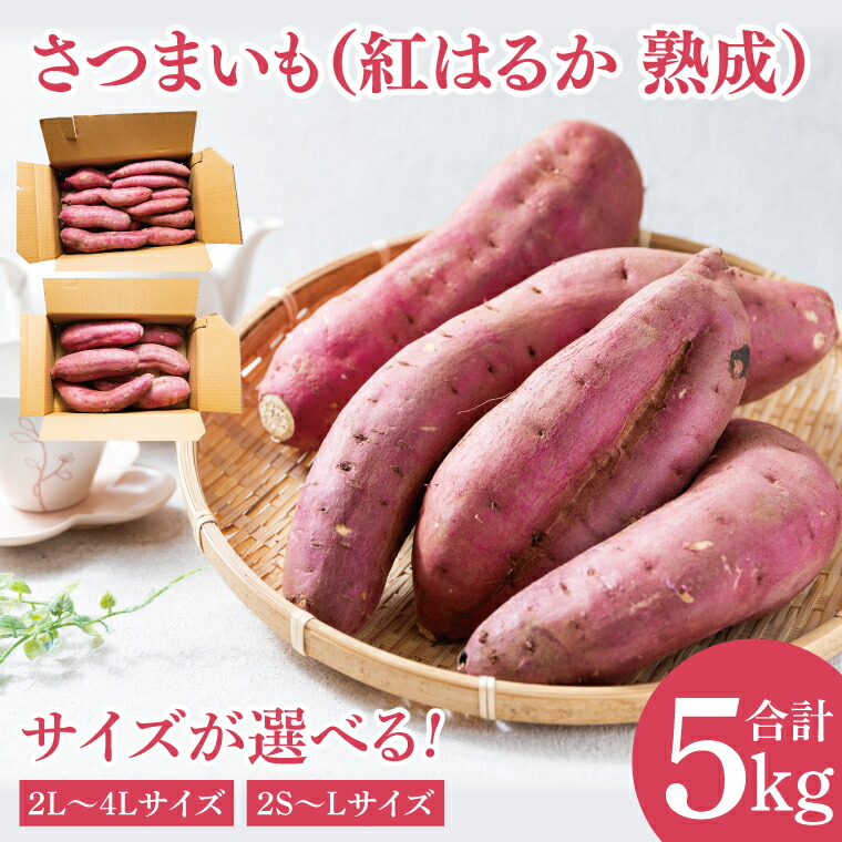 【ふるさと納税】【先行予約】【訳あり】【選べるサイズ】完熟高糖度 さつまいも（紅はるか）約5kg 【熟成 サツマイモ 焼き芋 訳あり キュアリング 茨城県 鹿嶋市産】【2025年6月～順次発送】（KDV-001）