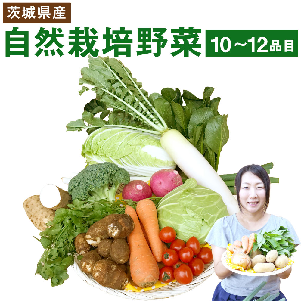 【ふるさと納税】 自然栽培 野菜 10～12品目 野菜 季節の野菜 旬 自然栽培(栽培期間 農薬不使用 )  詰め合わせ セット 茨城県産 国産 送料無料 野菜 産地直送（KBE-1）