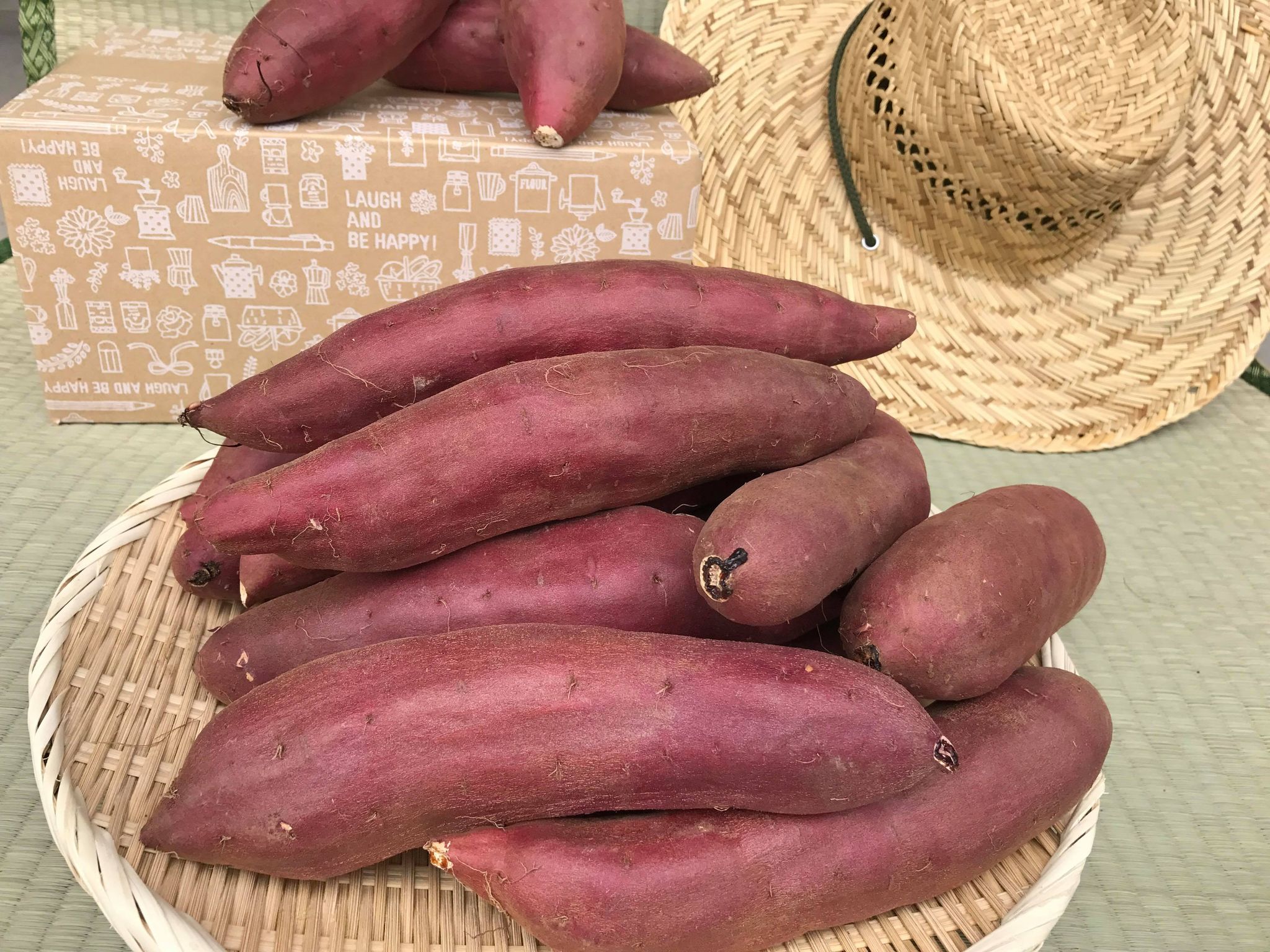 【先行予約】【令和7年11月～発送】【ふるさと納税】焼き芋好きのためのさつま芋　紅はるか5kg【茨城県共通返礼品・行方市産】 送料無料 焼芋 焼き芋 焼きいも やきいも さつまいも 紅はるか 期間限定 常温発送 行方市 行方台地（KBE-58）