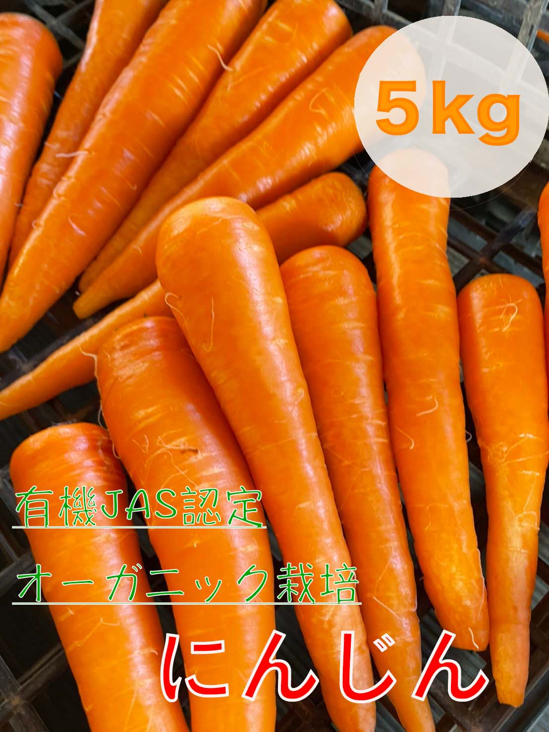【ふるさと納税】【先行予約】にんじん 5kg 旬の安心野菜【人参 ニンジン 無農薬 有機 栽培 野菜 サラダ 料理 オーガニック  数量 限定 人気 栄養 茨城県 鹿嶋市】 (KAX-15)