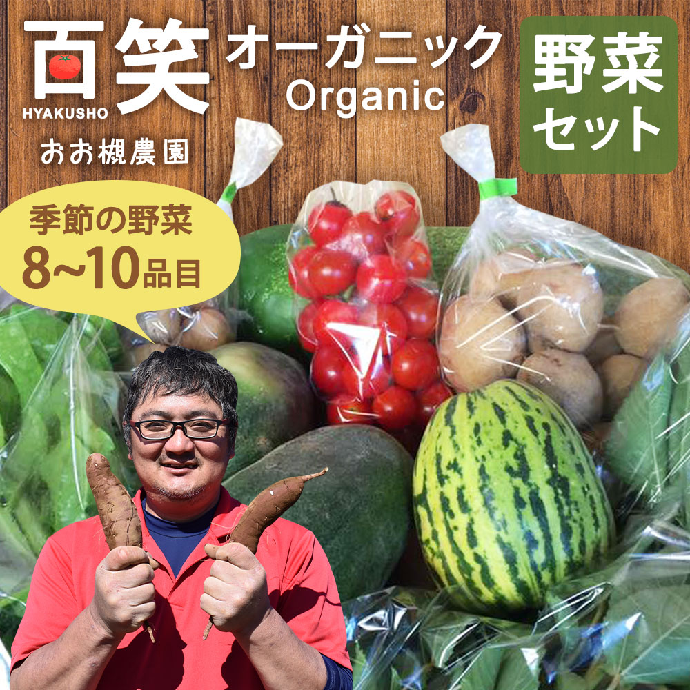 【ふるさと納税】百笑オーガニック野菜セット（8～10品目）自然栽培野菜 野菜 セット 詰め合わせ 茨城県 鹿嶋市 送料無料（KAG-1）