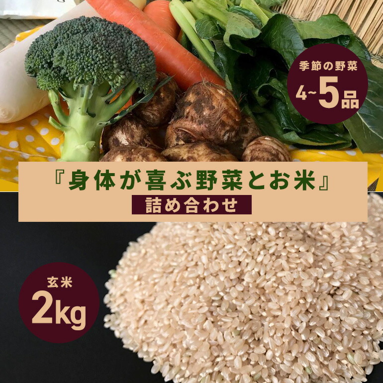 【ふるさと納税】 ＜玄米 2kg＞『身体が喜ぶ野菜とお米』詰め合わせ おまかせセット 茨城県産 コシヒカリ 米 お米 ご飯 ごはん 栽培期間中農薬不使用 季節の野菜 セット 微生物農法 EM農法 有機栽培 産地直送 新鮮 家庭用 潮来はぐくみのもり 茨城県 潮来市 (A03-005)