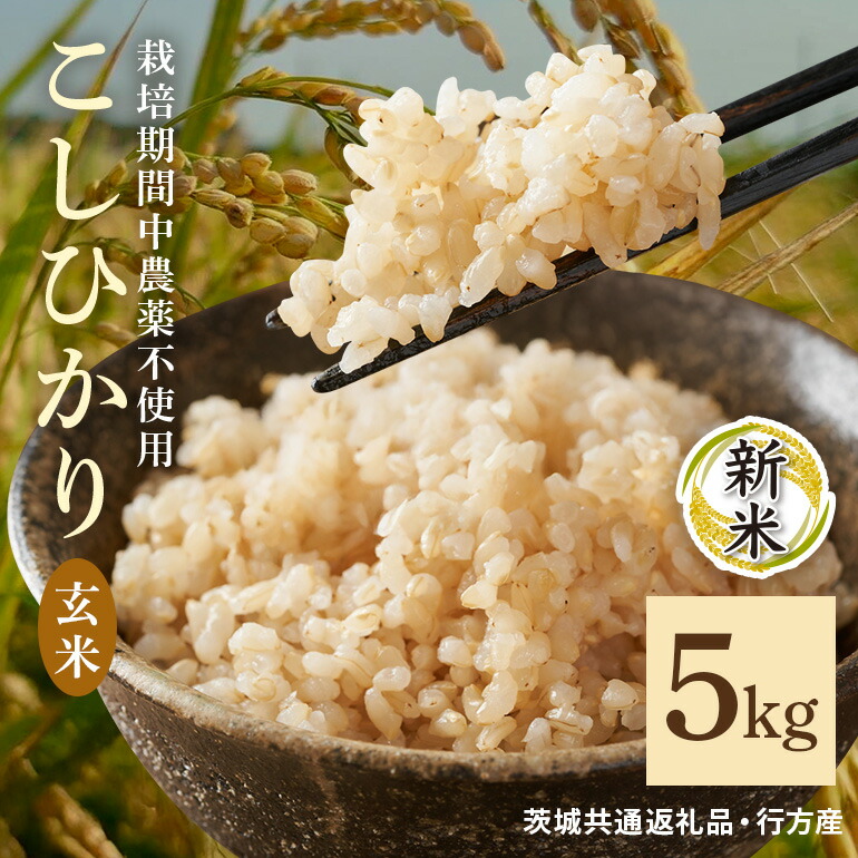 【ふるさと納税】 令和7年産新米 玄米 5kg 栽培期間中農薬不使用 こしひかり 茨城県産 米 お米 コメ ご飯 コシヒカリ 食味豊か 甘み 旨み 冷めても 美味しい お弁当 向け 食卓常備 産地直送 茨城県 潮来市 ＜茨城県共通返礼品・行方市産＞ (A03-012)