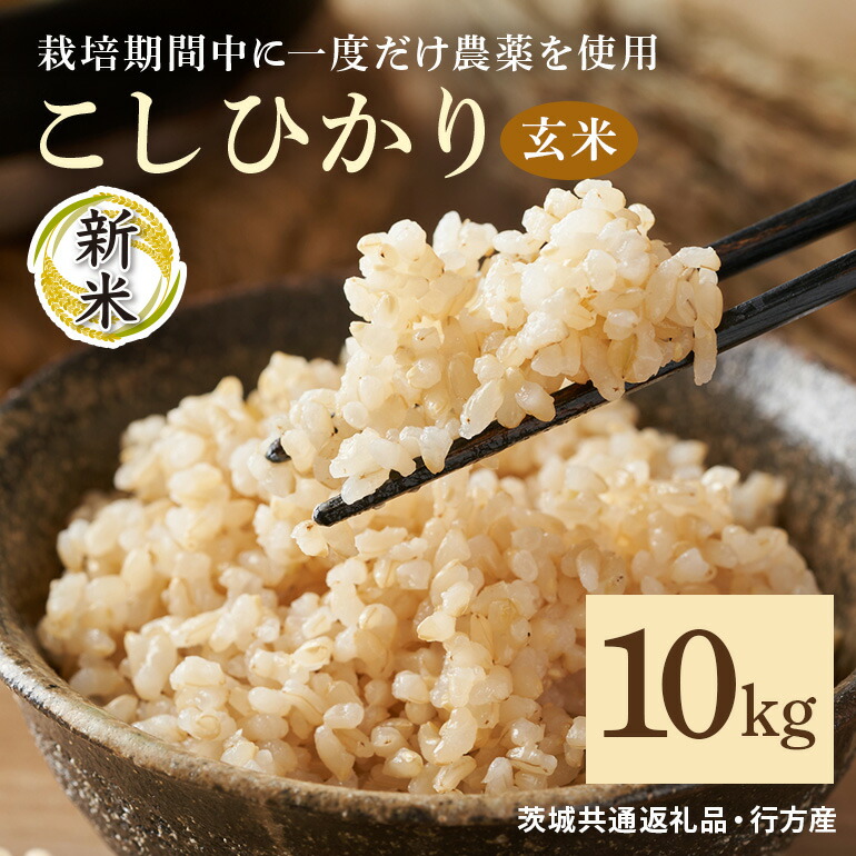 【ふるさと納税】 令和7年産新米 玄米 10kg 栽培期間中できるだけ農薬を減らした＜ こしひかり＞ 茨城県産 米 お米 コメ ご飯 コシヒカリ 食味豊か 甘み 旨み 冷めても 美味しい お弁当 向け 食卓常備 産地直送 茨城県 潮来市 ＜茨城県共通返礼品・行方市産＞ (A03-019)