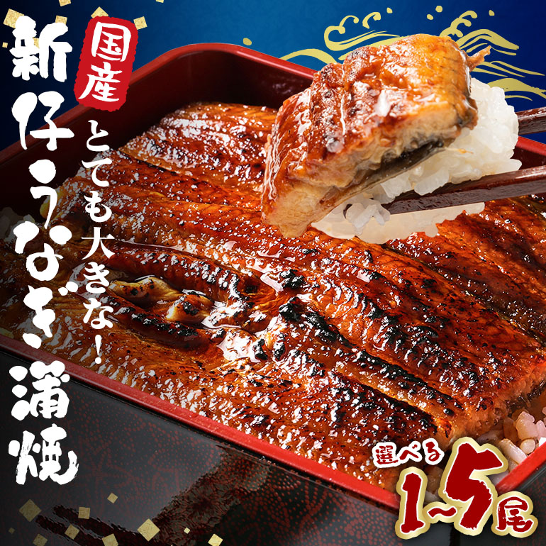 【ふるさと納税】 国産 とても大きな 新仔うなぎ蒲焼 選べる 1尾～5尾 (220～250g×1尾～5尾) 肉厚ジューシー ふっくら柔らか ブランド鰻使用 秘伝のタレ・山椒付き 湯煎で簡単調理 うな丼 うな重 贈答用 ギフト 冷蔵配送 茨城県 潮来市 (A23-005)