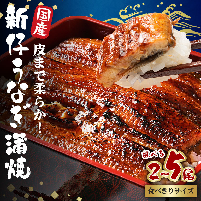【ふるさと納税】 国内産 やわらか新仔うなぎ蒲焼 選べる 2尾～5尾 (100～110g×2尾～5尾) 食べ切りサイズ ふっくら蒲焼き ブランド鰻使用 秘伝のタレ・山椒付き 湯煎で簡単調理 うな丼 ちらし寿司 贈答用 ギフト 冷蔵配送 茨城県 潮来市 (A23-011)