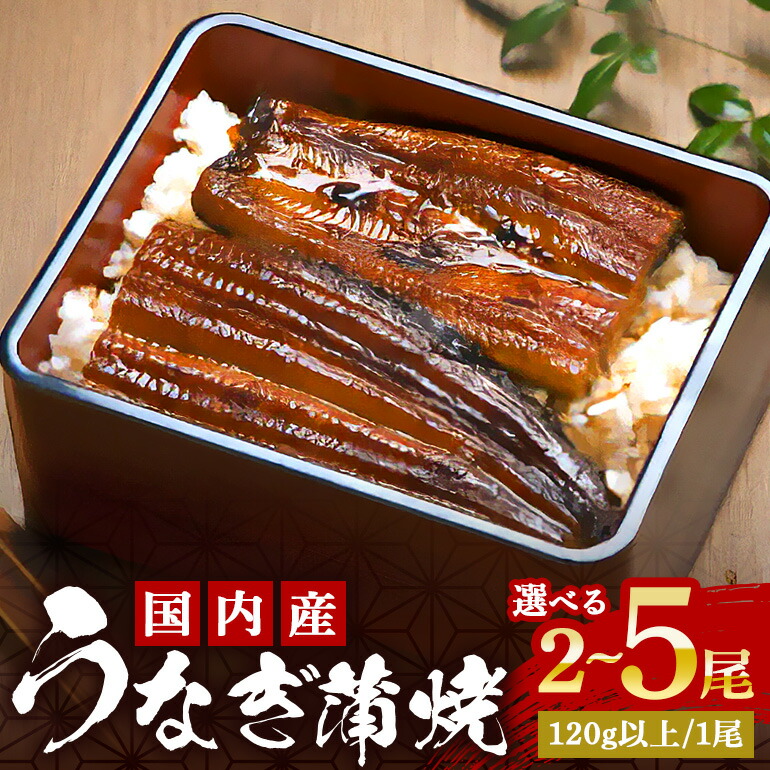 【ふるさと納税】 国産 やわらか 新仔 うなぎ 蒲焼 選べる 2尾～5尾 (120～140g×2尾～5尾) ふっくら蒲焼き ブランド鰻使用 秘伝のタレ・山椒付き 湯煎で簡単調理 うな丼 ちらし寿司 贈答用 ギフト 冷蔵配送 茨城県 潮来市 (A23-012)