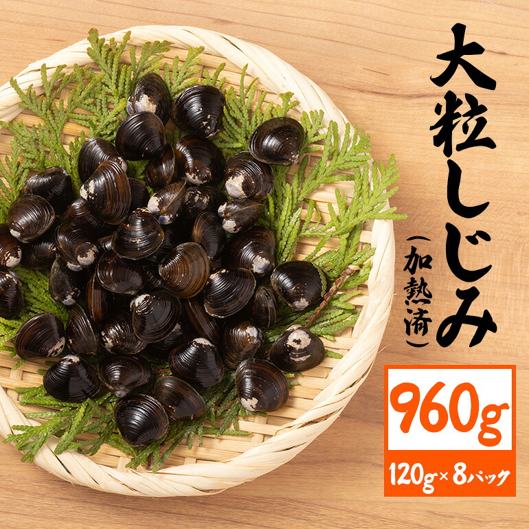 【ふるさと納税】 茨城県産 大粒しじみ 加熱済 120g×8パック 国産 しじみ シジミ 涸沼川産 砂抜き不要 調理簡単 味噌汁 すまし汁 つくだ煮 貝専門店の厳選品 贈答用 ギフト 常温 茨城県 潮来市 (A14-001)