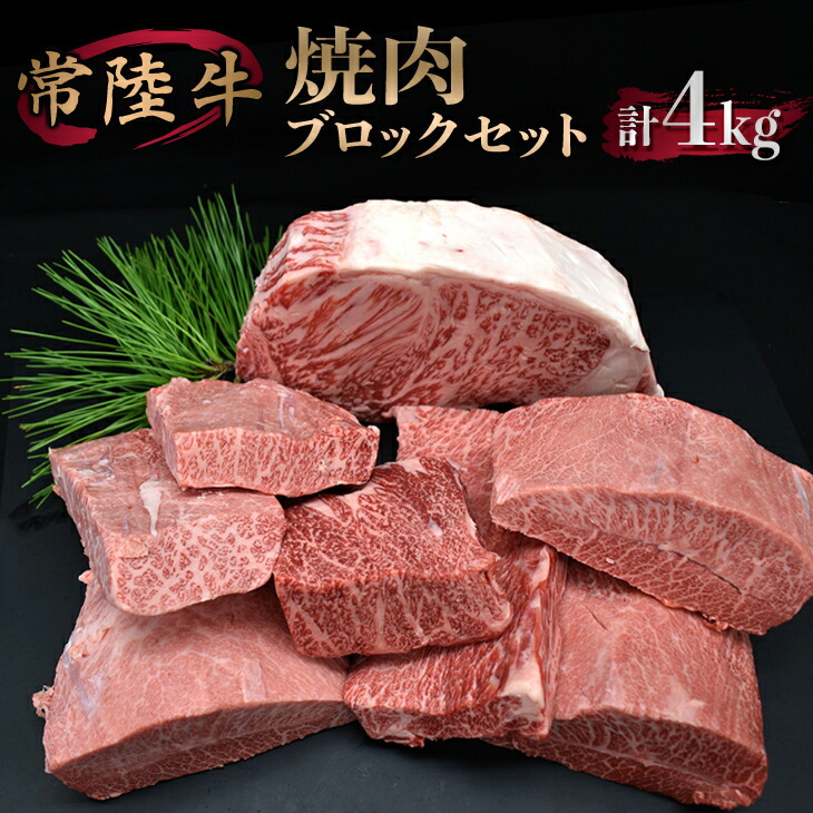 【ふるさと納税】＼レビューキャンペーン／焼肉ブロックセット【サーロイン ミスジ カルビ カタバラ バラ お肉  焼肉 食べ比べ やきにく ステーキ 厚切り かたまり ブロック肉 冷凍】