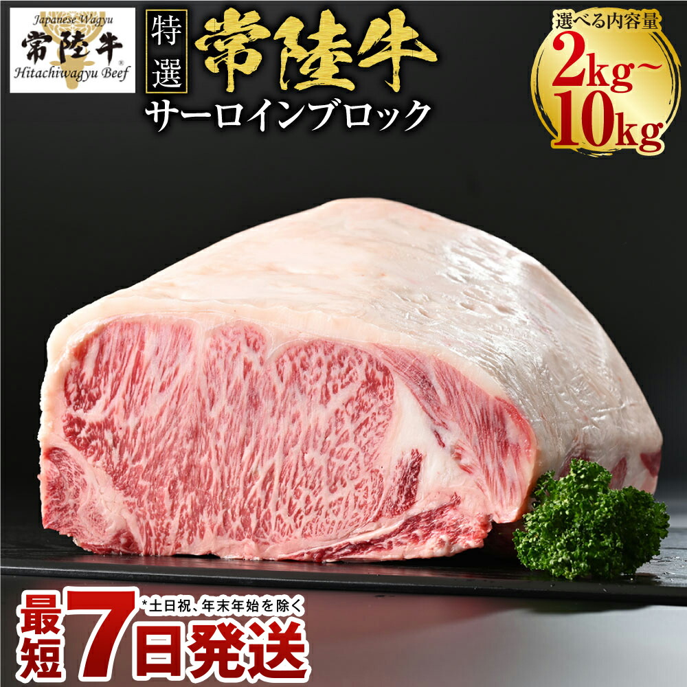 【ふるさと納税】【特選】常陸牛(ひたちぎゅう)A5等級 サーロインブロック 選べる容量 2kg～10kg （茨城県共通返礼品 茨城県産） 国産 ブランド牛 肉 お肉 牛肉 サーロイン ブロック ステーキ 選べる 冷蔵 茨城県 守谷市 送料無料