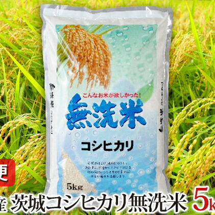 激安の 定期便 令和2年産茨城コシヒカリ無洗米5kg 3ヵ月 計15kg 定期便 米 無洗米 コシヒカリ 3ヶ月 3回 お米 お届け 年11月1日 21年9月30日 楽天ランキング1位 Harrisonsofsomerset Co Uk