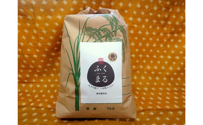 訳ありセール格安 令和二年産 茨城県お米2種食べ比べ10kgセット 5kg 2 2 コシヒカリ 特選ふくまる お米 コシヒカリ ふくまる 食べ比べ 10kg お届け 21年2月下旬 21年8月31日 茨城県守谷市 人気ブランド Www Flyingislandrealty Com