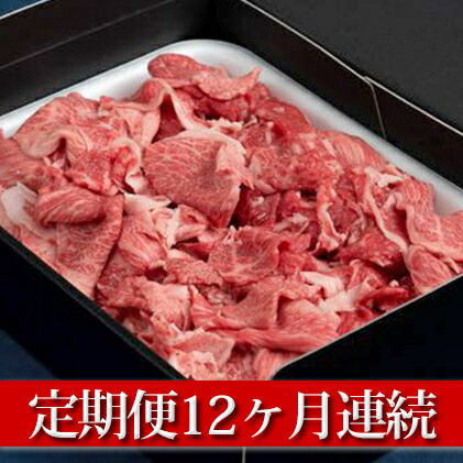 ふるさと納税 定期便 常陸牛 切落し約1kg 12ヶ月連続お届け 定期便 お肉 牛肉 切落し 常陸牛 12ヶ月 12回 1年 Psicologosancora Es