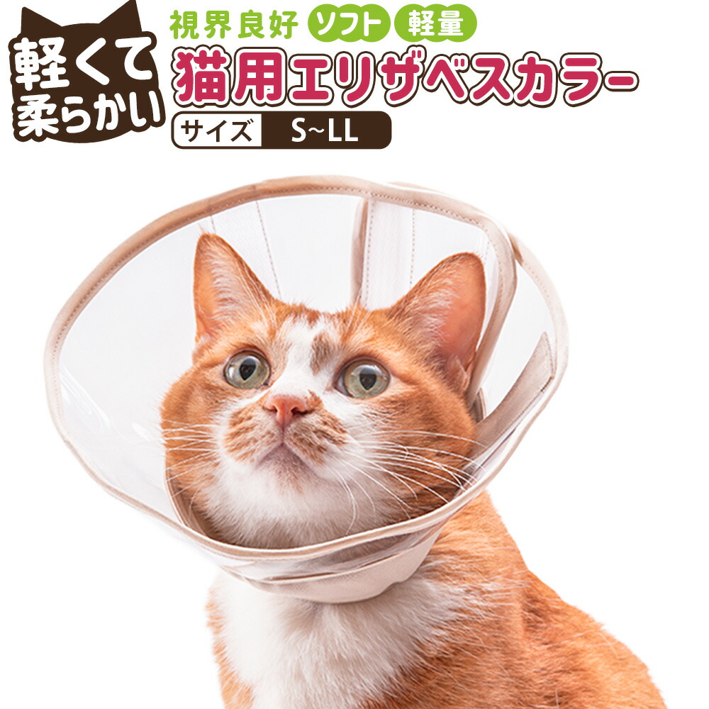 R-1特集