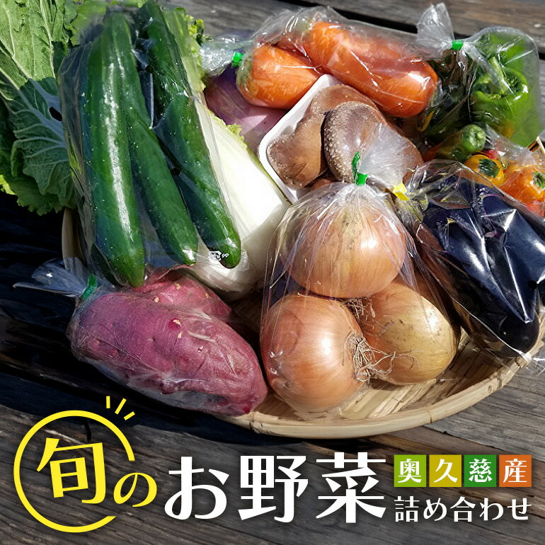 【ふるさと納税】 新鮮 奥久慈産 旬の野菜詰め合わせ 季節 セット 茨城県 特産 野菜セット 詰め合わせ 国産 旬 お試し おまかせ お楽しみ 野菜 採れたて 美味しい 直送 送料無料 【元気な郷づくり（株）】 【ho0871】