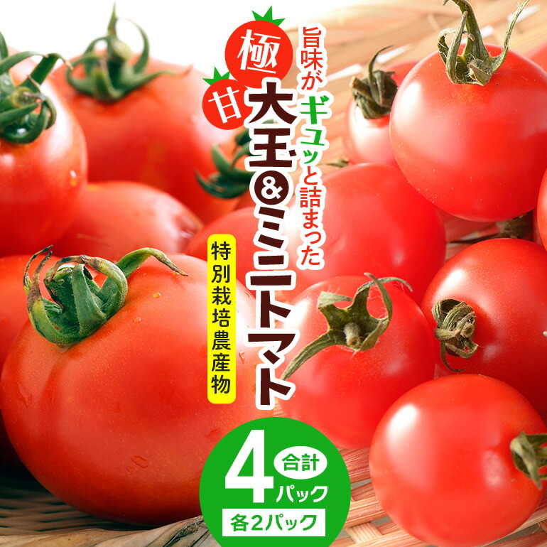 【ふるさと納税】雅農園ミニトマト＆大玉トマトセット 【雅農園】 【ho1430】