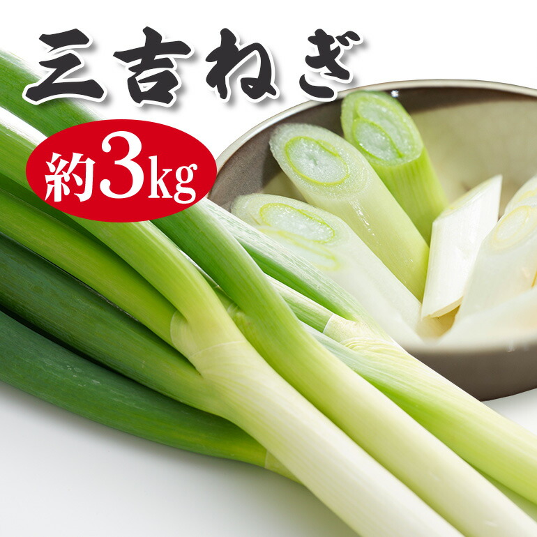 楽天市場】【ふるさと納税】【南信州産】土付きねぎ 3kg(600g×5袋
