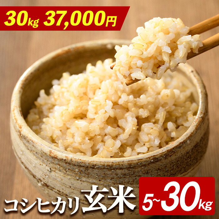 【ふるさと納税】【玄米 30kg 30,000円】 ＜選べる内容量＞茨城県産 R8年産 コシヒカリ玄米 5〜30kg 米 お米 こめ コメ 玄米  5kg 10kg 30kg 茨城 ご飯 国産米 選べる 令和8年 令和8年産 【有限会社桂農産】【ho1806】【ho1807】【ho1808】：茨城県常陸大宮市