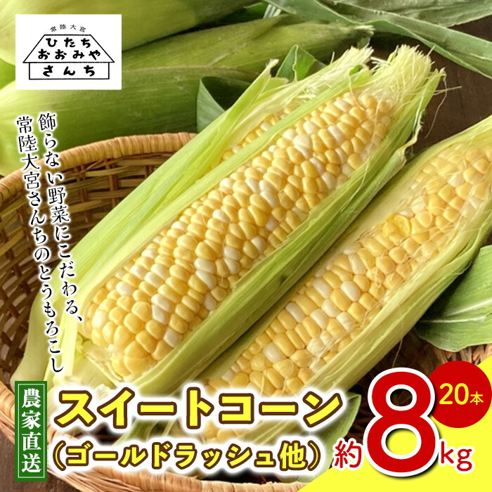 【ふるさと納税】＜先行予約受付中！2026年6月下旬以降順次発送予定＞訳あり とうもろこし スイートコーン 20本 朝採り 旬の味覚 新鮮 コーン 先行予約 産地直送 農家直送 トウモロコシ【常陸大宮さんち農園】【ho1592】