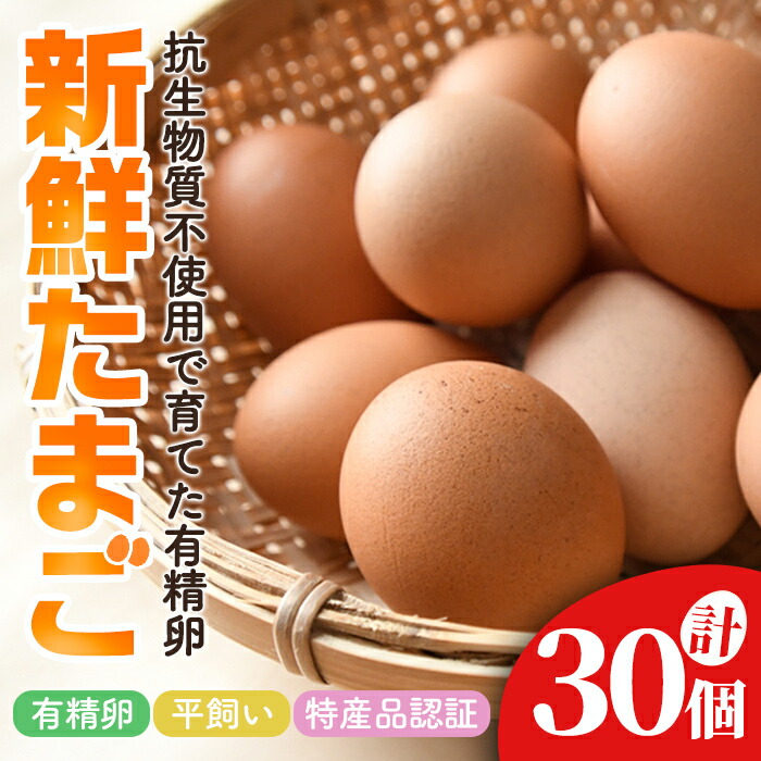 楽天市場】【ふるさと納税】三ツ星レストランや一流料理人が愛する