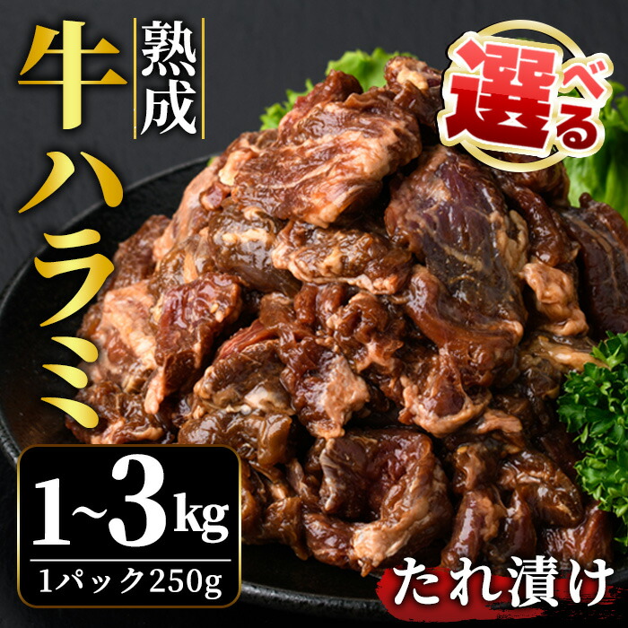 【ふるさと納税】＜選べる＞ 熟成 牛 ハラミ 1kg 2kg 3kg 味付け 味付け肉 小分け 冷凍 焼肉 焼き肉 牛 牛肉 肉 お肉 ビーフ お取り寄せ ご家庭用 ご自宅用 茨城県 【そうざい男しゃく（株式会社池延）】 【ho1468-1】【ho1469】【ho1470】｜茨城県常陸大宮市