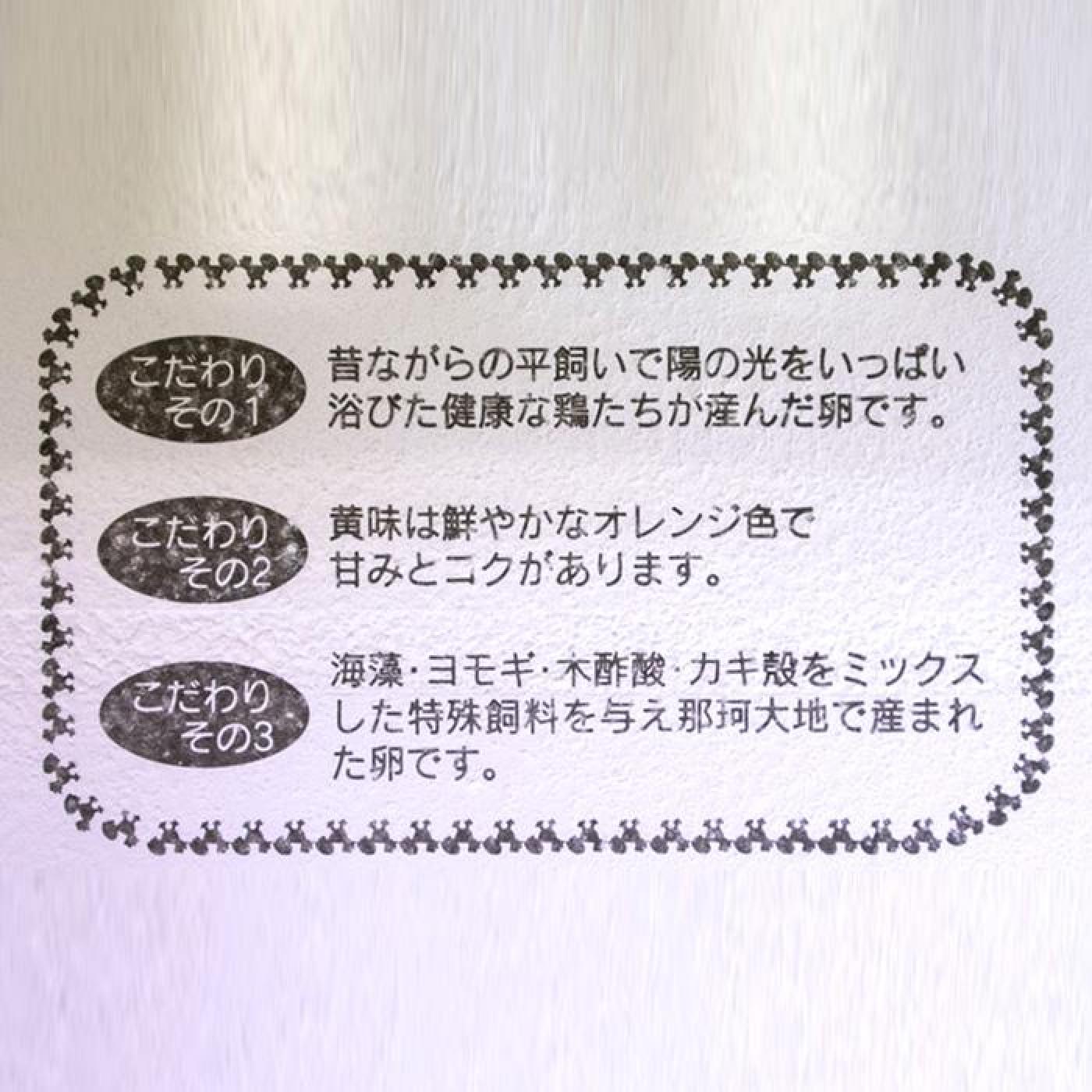 ふるさと納税 L 2 3か月定期便 卵 ひまわりっこ 平飼いたまご