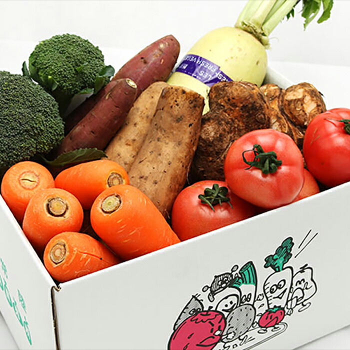 【ふるさと納税】季節の採れたて野菜の詰め合わせ 新鮮野菜 詰め合わせ 那珂市産 茨城県産 国産 旬野菜 セット 新鮮 野菜セット 野菜 野菜BOX 旬 厳選 食材 産地直送 お取り寄せ グルメ 季節 野菜詰合わせ おまかせ 送料無料