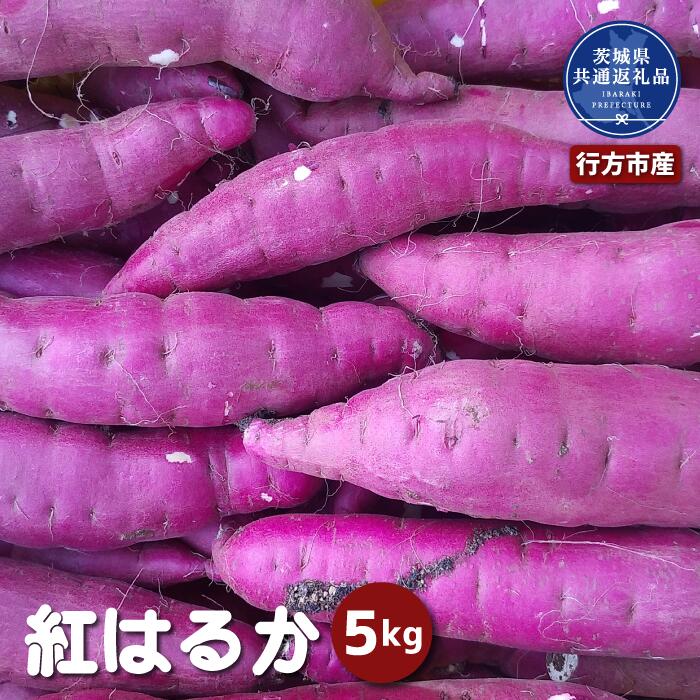 さつまいも 紅はるか 5kg 茨城県共通返礼品 行方市産 は自分にプチご褒美を