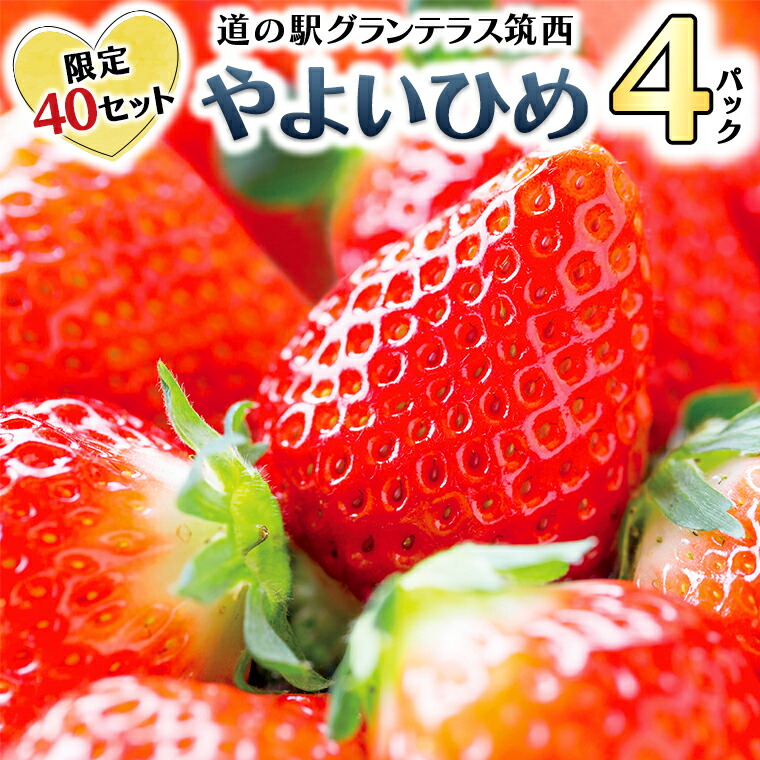 限定40セット!道の駅グランテラス筑西やよいひめ4パック (1月上旬より随時発送)苺 いちご イチゴ 数量限定 やよいひめ 甘い