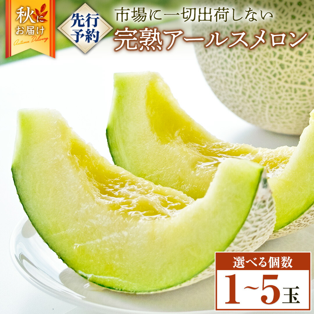【ふるさと納税】 完熟 アールスメロン ( 選べる 内容量 )  2025年産 先行予約 メロン マスクメロン 青肉 果物 フルーツ 茨城県産 期間限定 数量限定 1玉 特大1玉 2玉 3玉 4玉 5玉