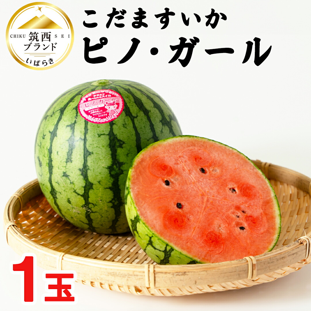 【ふるさと納税】こだますいか 「 ピノ・ガール 」 1玉 2025年産 先行予約 筑西ブランド こだまスイカ 小玉スイカ すいか スイカ フルーツ 果物