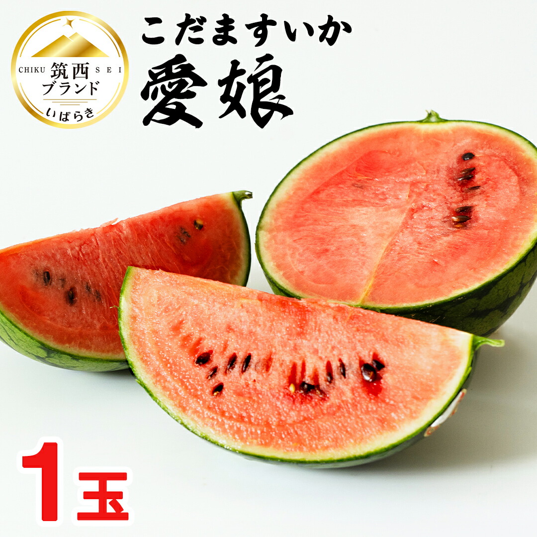 【ふるさと納税】こだますいか 「 愛娘 」 1玉 2025年産 先行予約 筑西ブランド こだまスイカ 小玉スイカ すいか スイカ フルーツ 果物