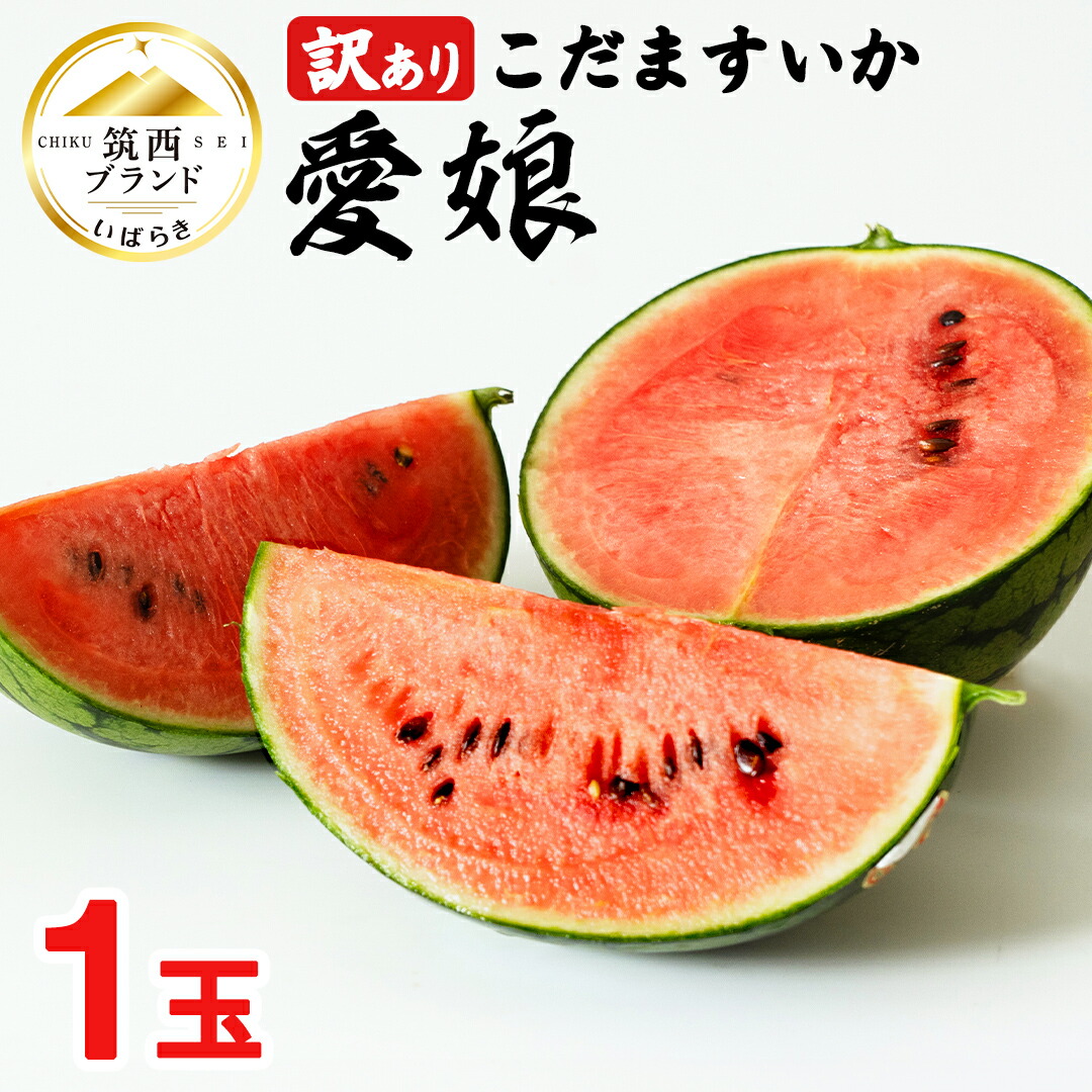 【ふるさと納税】【 訳あり 】 こだますいか 「 愛娘 」 1玉 2025年産 先行予約 筑西ブランド こだまスイカ 小玉スイカ すいか スイカ フルーツ 果物