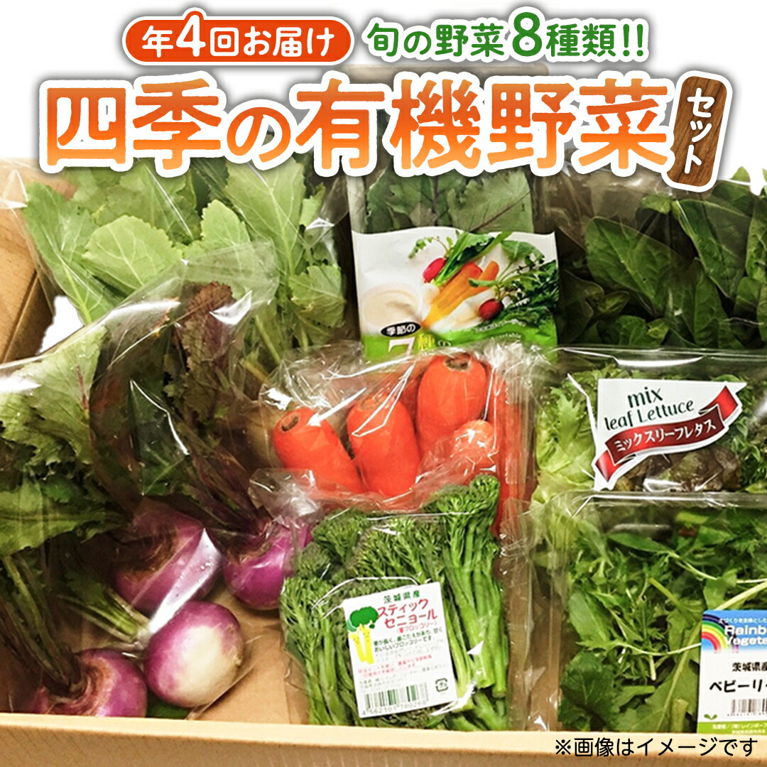 【ふるさと納税】【 定期便 年4回お届け！】四季の 有機野菜 色とりどりセット  野菜 野菜セット 詰め合わせ 有機 無農薬 JAS認定 無化学肥料 おまかせ 野菜スティック レインボーフューチャー