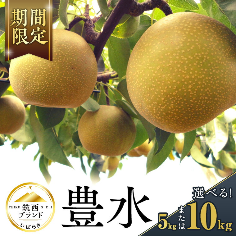 【ふるさと納税】【 JA 北つくば 】 筑西ブランド 認証品 豊水 ( 選べる 内容量 5kg 10kg )  2025年産 先行予約 梨 果物 フルーツ なし ナシ 豊水梨 くだもの デザート 茨城