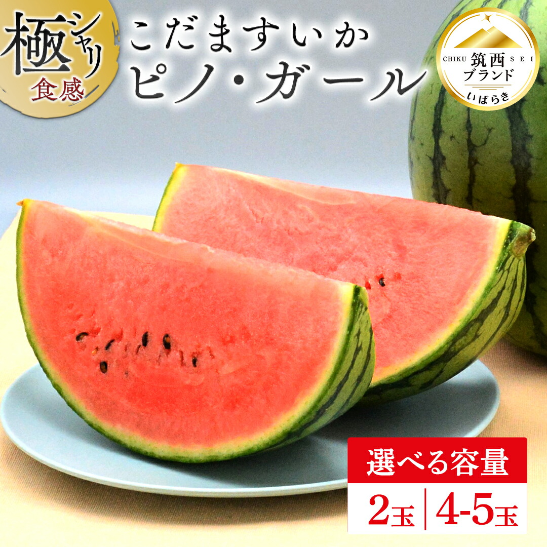 【ふるさと納税】【 JA北つくば 】 極シャリ食感 ！ こだますいか 「 ピノ・ガール 」  ( 選べる 内容量 2玉 or 4-5玉 ) 先行予約 小玉すいか 小玉 すいか スイカ 果物 フルーツ ピノガール 西瓜 くだもの デザート 茨城