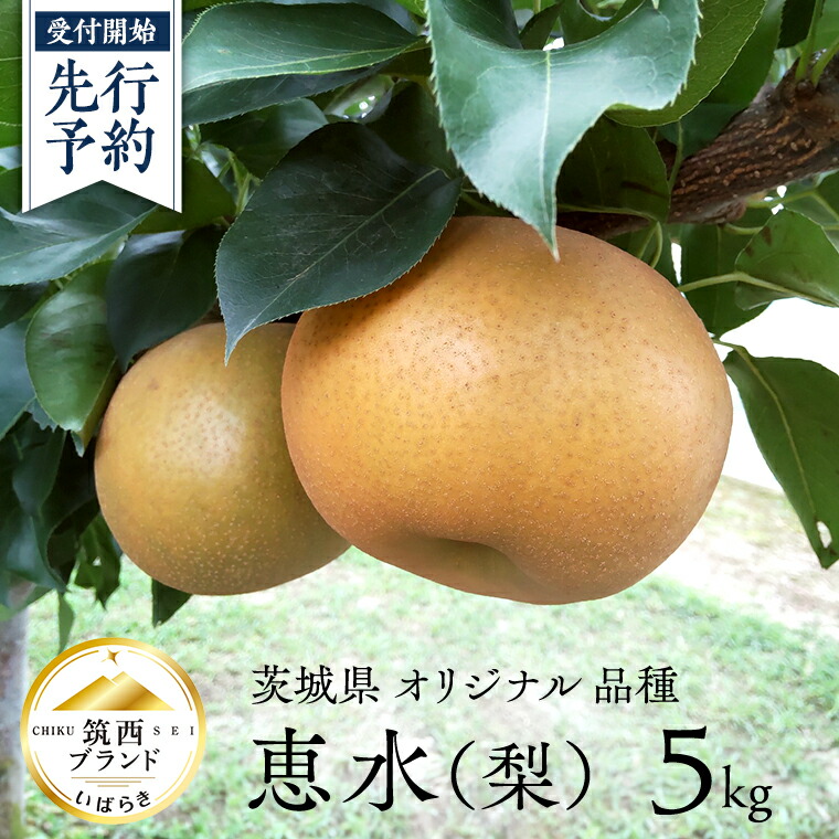 【ふるさと納税】【 JA 北つくば 】 筑西ブランド 認証品 恵水 5kg 2025年産 先行予約 梨 特選品 特選 果物 フルーツ なし ナシ 赤梨 贈り物 贈答 贈答用