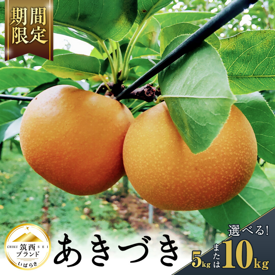 【ふるさと納税】【 JA 北つくば 】 筑西ブランド 認証品 あきづき ( 選べる 内容量 5kg 10kg )  2025年産 先行予約 梨 果物 フルーツ なし ナシ 和梨 秋月 秋月梨 あきづき梨 くだもの デザート 茨城