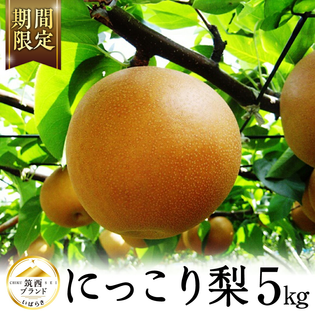 【ふるさと納税】【 JA 北つくば 】 筑西ブランド 認証品 にっこり 5kg 2025年産 先行予約 梨 果物 フルーツ なし ナシ 和梨 [AE030ci]