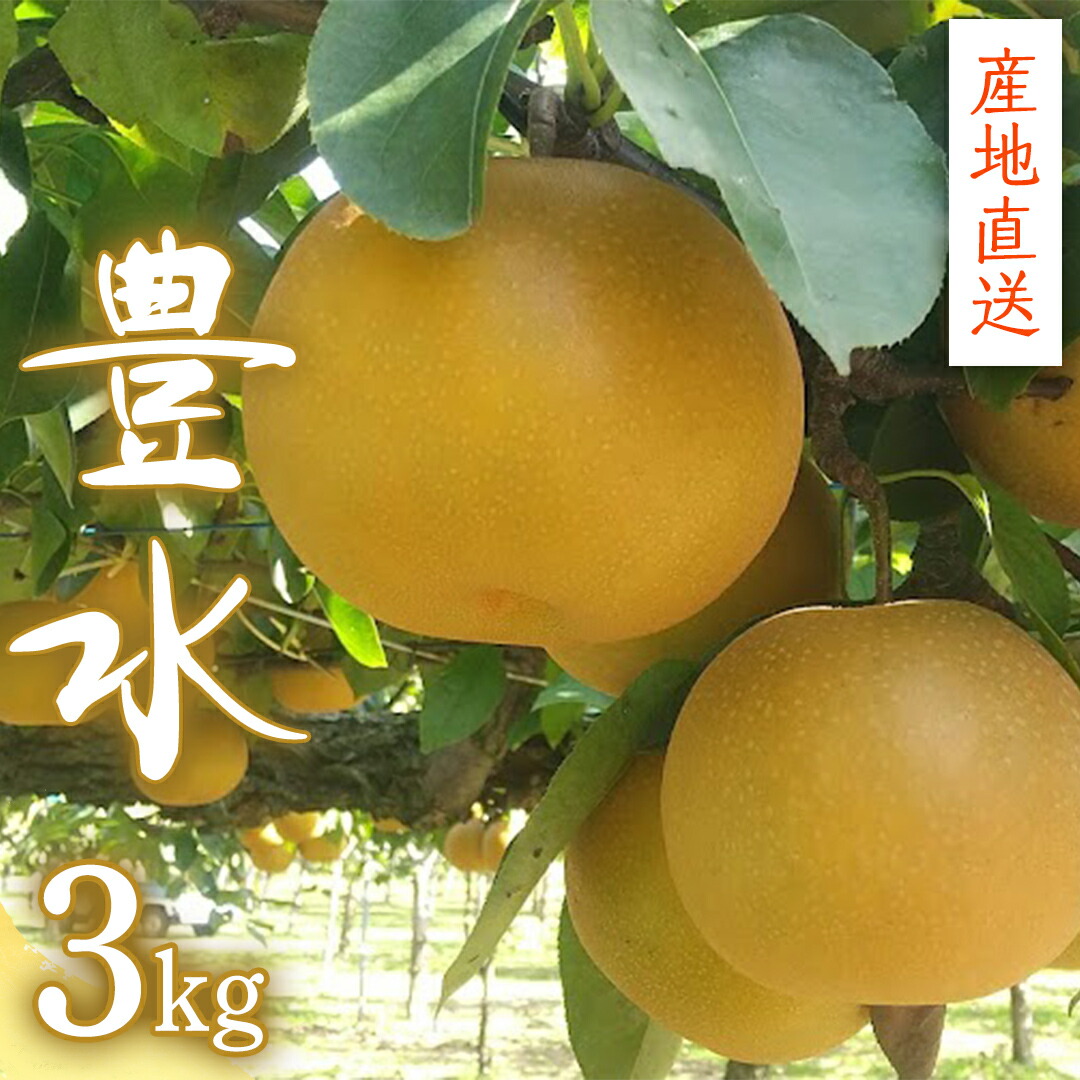 【ふるさと納税】【 産地直送 】 豊水 3kg 梨 フルーツ 果物 国産 日本産 梨 ナシ なし 和梨