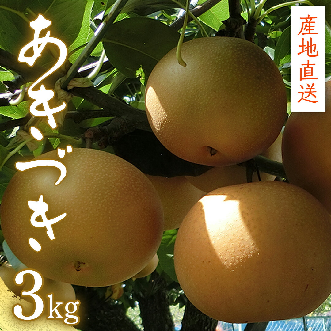 【ふるさと納税】【 産地直送 】 あきづき 3kg 梨 フルーツ 果物 国産 日本産 梨 ナシ なし 和梨